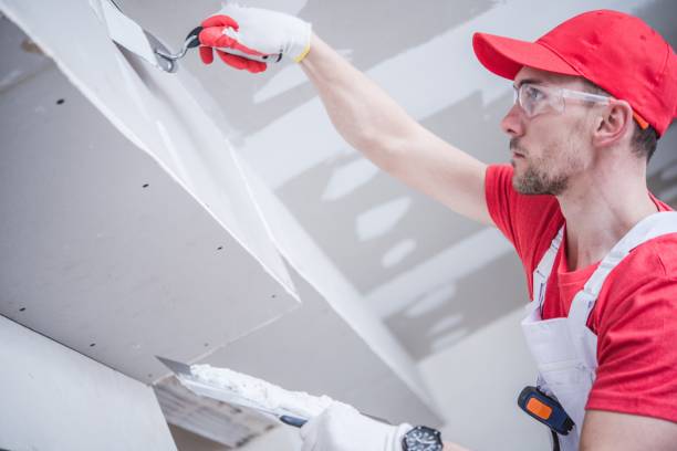 Best Drywall for Remodeling  in Lincoln, MO